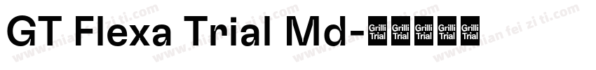 GT Flexa Trial Md字体转换